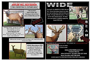 1 Antler Hill Elk Ranch